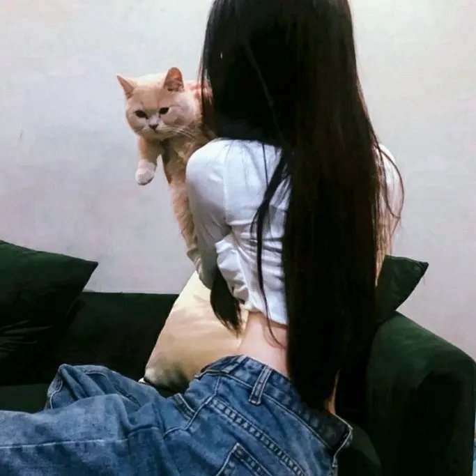 夜猫子